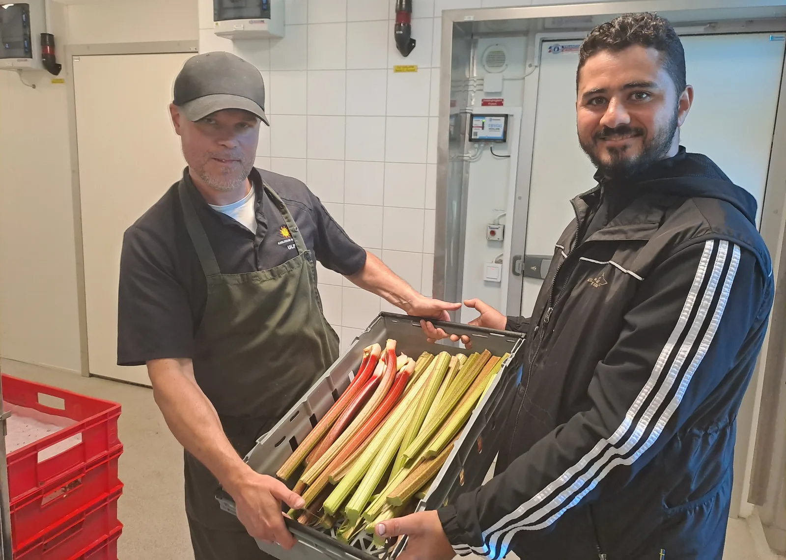 En producent lämnar över en back nyskördad rabarber till en kock i ett kommunalt storkök i Karlstad.